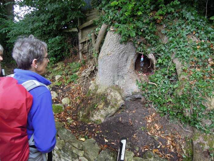 Heather notices a hollow tree trunk