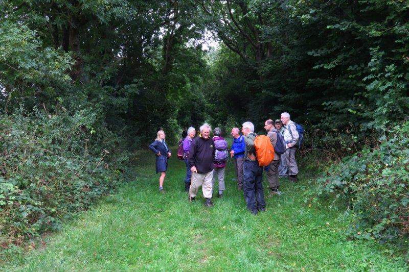 Pausing as we reach a grassy track