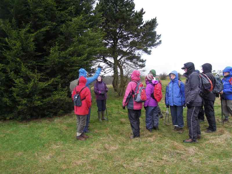 In the shelter of some trees on a very windy morning John volunteers to back mark for Jacqui
