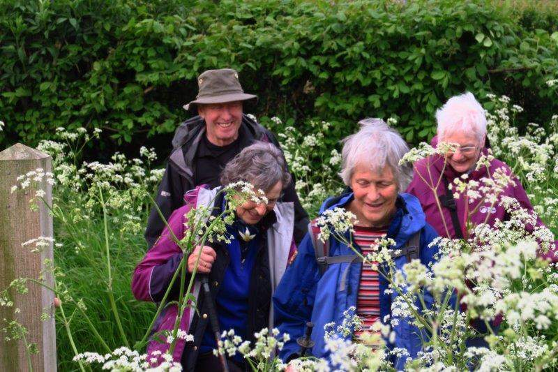 Something has made them smile
