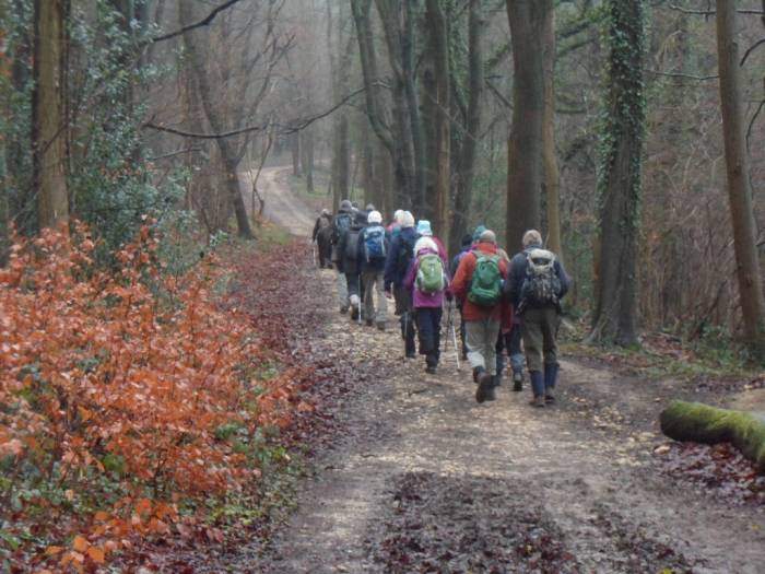 We set off through the woods
