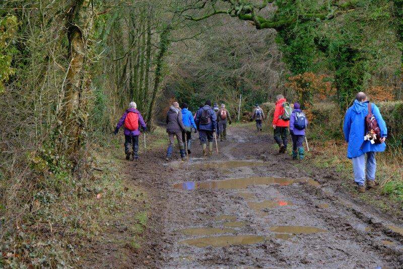 A muddy track