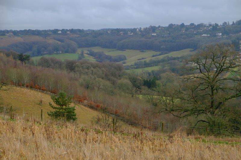Looking over to Manor Woods