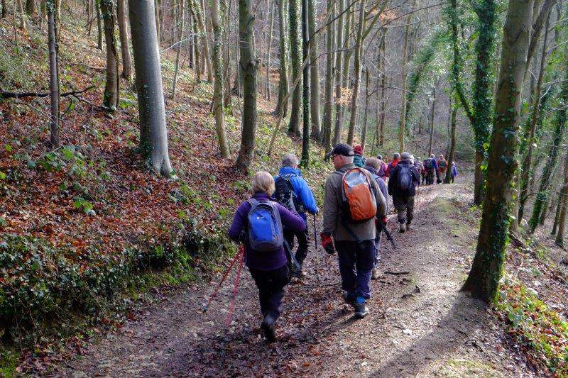 We head off into Standish Woods