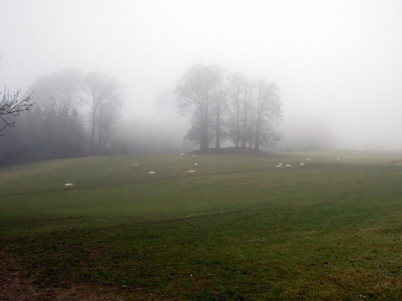 Misty by the long barrow and the Tingle Stone