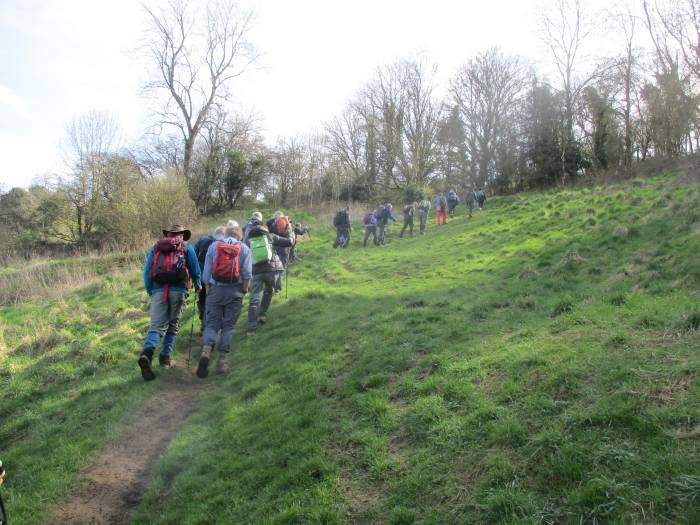 Then climb up to Sapperton. We have Australian visitors with us today