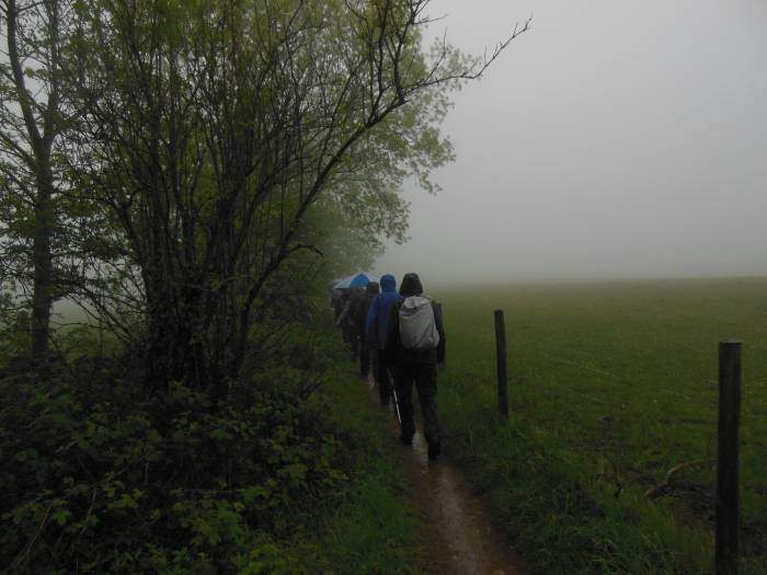 Along a bridleway