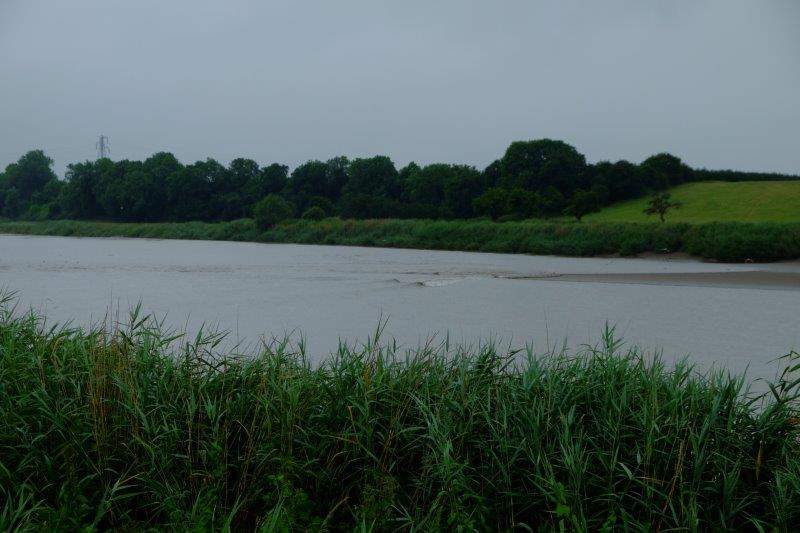 Yes, it's a mini Severn Bore