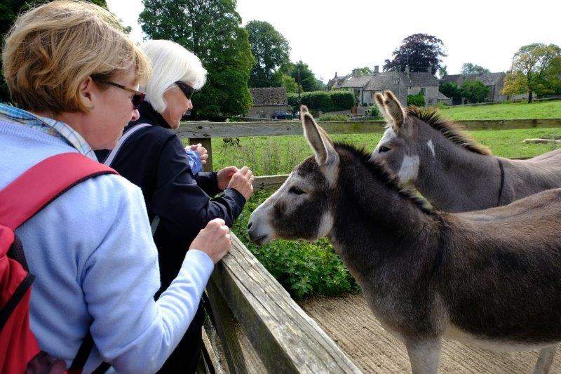 We are greeted by the village donkeys