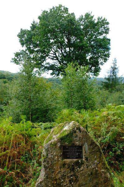 Past a stone and an oak tree commemorating the life of a deputy surveyor  in the Forest