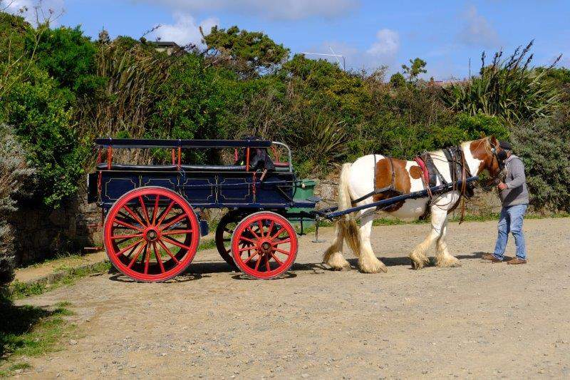 With a horse and cart behind us