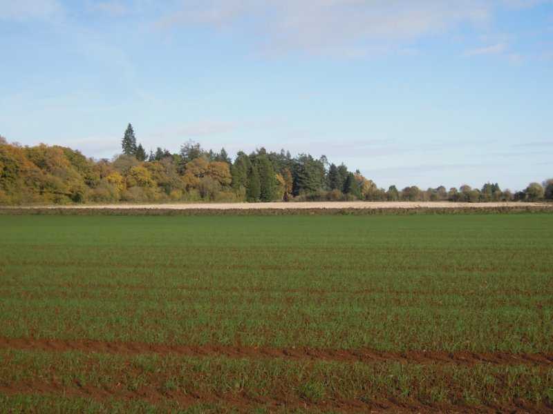 A fallow field in the distance