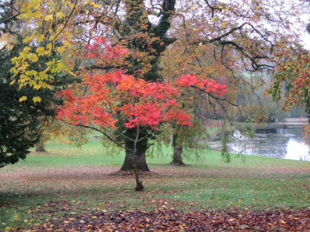 Looks beautiful by the lake