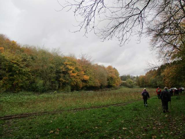 Then past some colourful trees with a shooting party ahead 