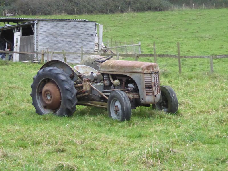 Then head up past an old Fergie Tractor