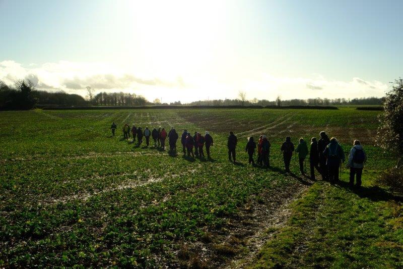 Over muddy fields