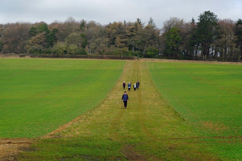 Then our path crosses fields