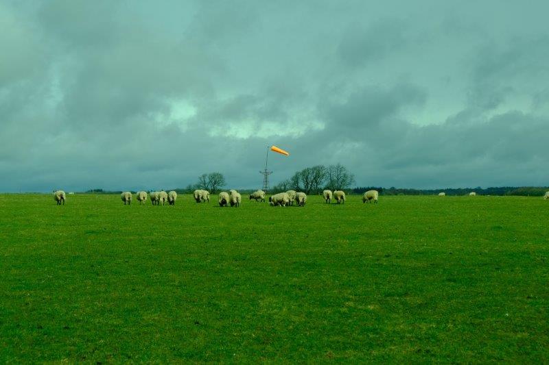 With their own wind sock so that they know which way the wind is blowing