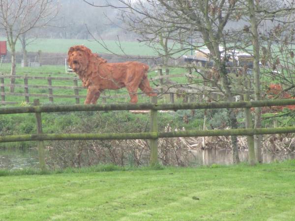 There's a life-sized lion next door!