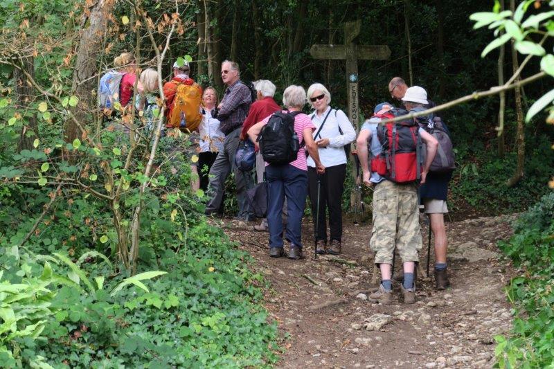 Pausing at the point where the two arms of the Cotswold Way meet then  taking the Selsley path