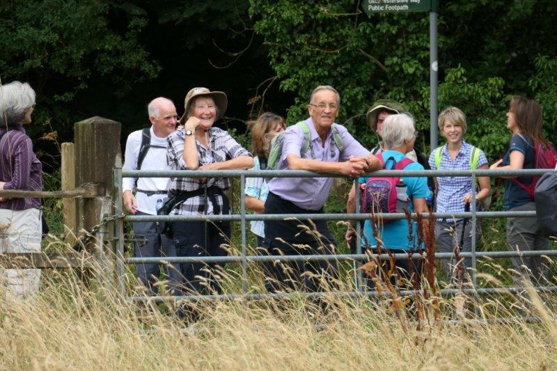 A handy gate to lean on