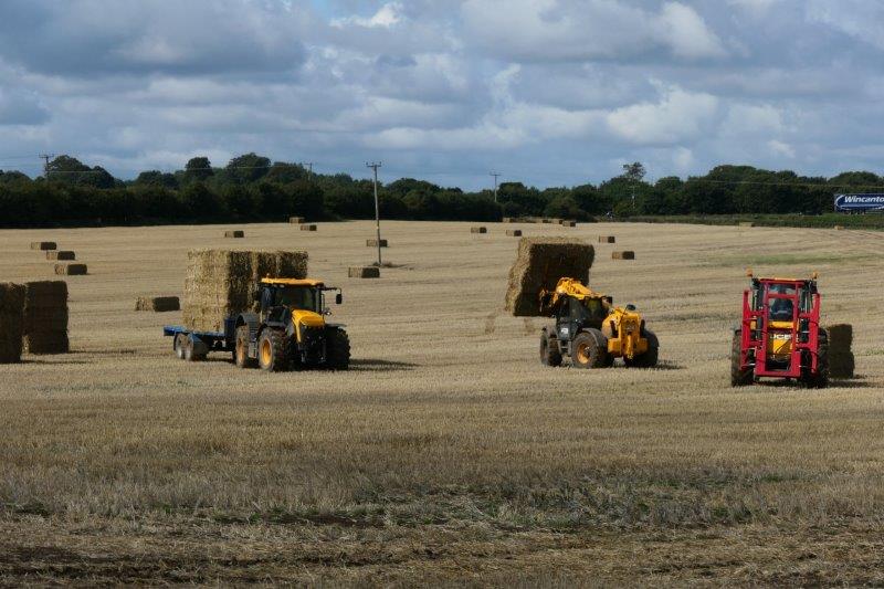 As tractors scurry around the field picking up bales