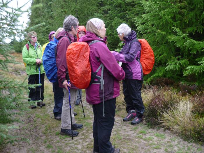 We're on the North Yorkshire Moors. It's raining a little, but mild, and we look colourful