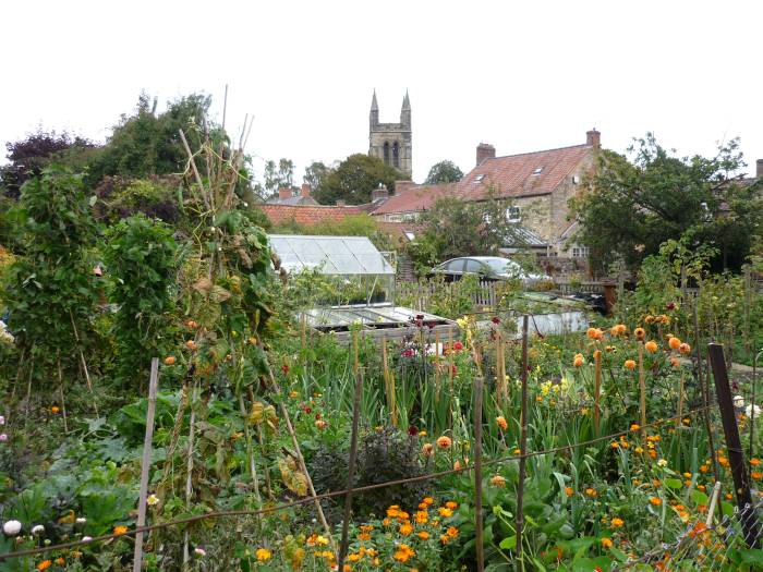These allotments show off the church in the background