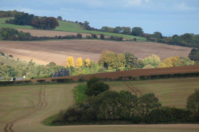 The sun catching the trees in the valley