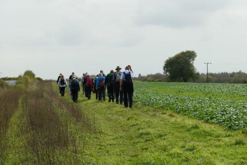 A wide headland provides a useful alternative to the road