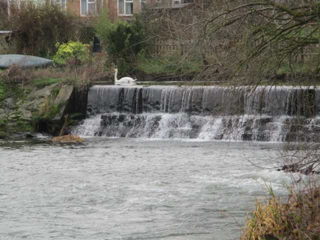 And back to Fromebridge Mill