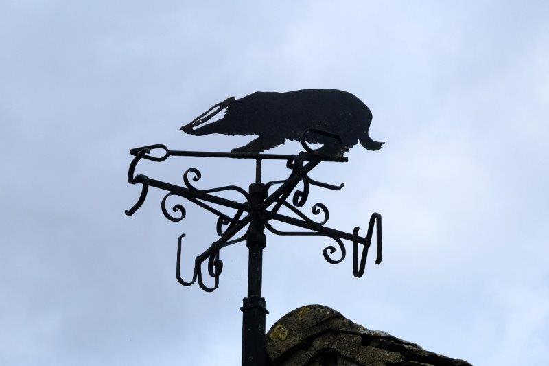 Badger weather vane