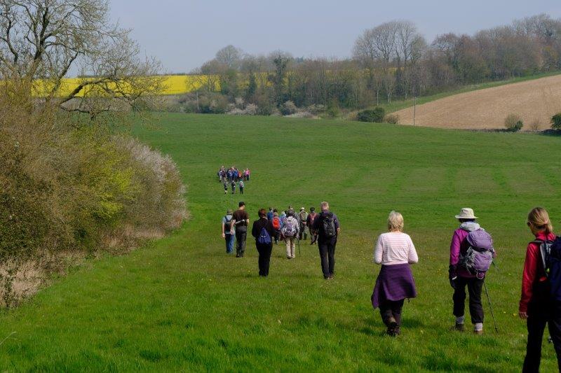 Heading back across fields