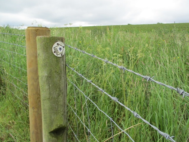 The farmer has put up a new barbed wire fence. Not sure how we are supposed to follow this sign