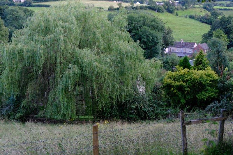 Houses nestling in the valley bottom