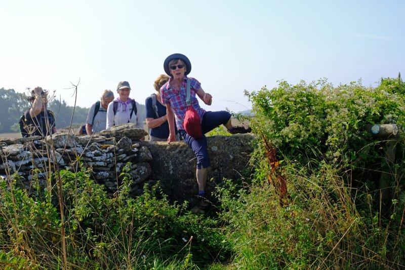 A stone stile - taken with panache by Ros