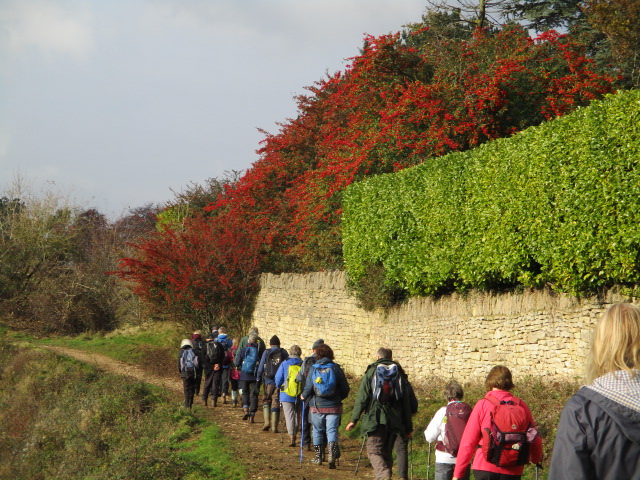 We follow the wall round the back of Private Road