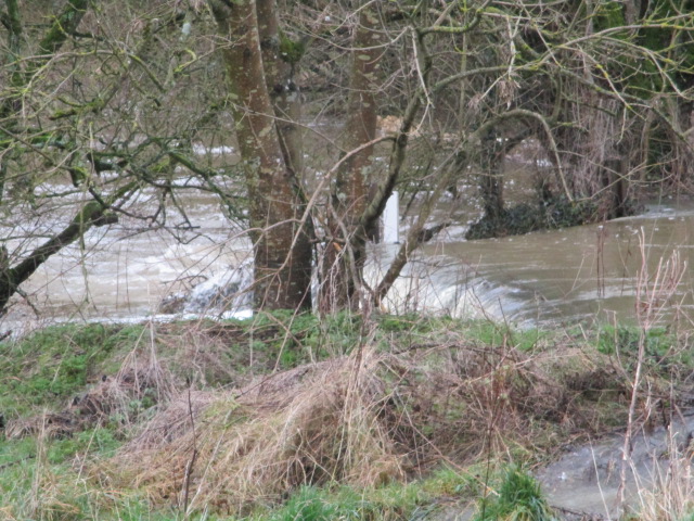 This little stream a raging torrent