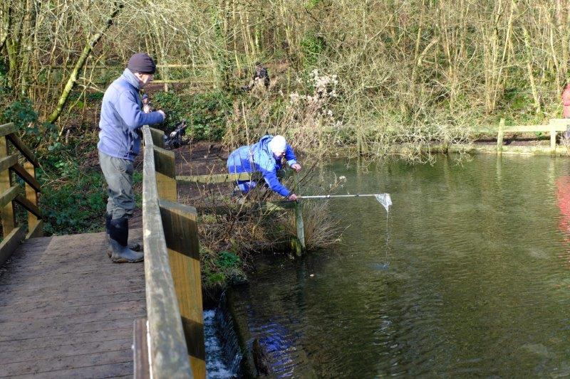 Action shot of Sue retrieving a plastic bag dropped by Peter. A woman's  work is never done