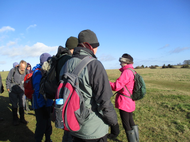 A brief stop to talk about pillow mounds and rabbits