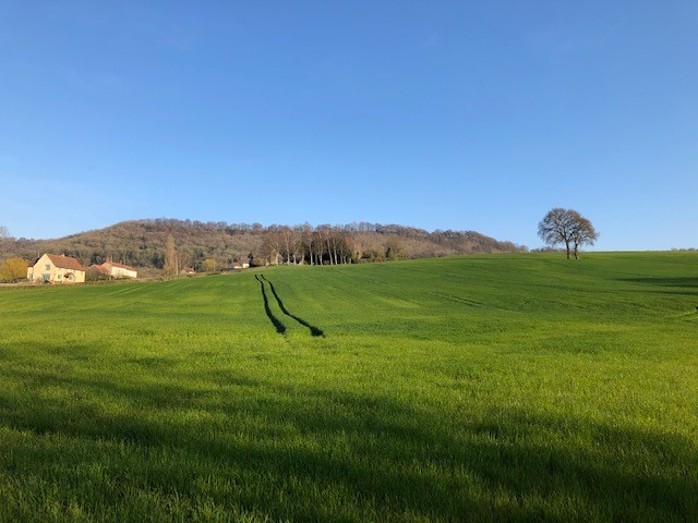 Countryside drying up at last and the farmer has been busy fertilising the grass ready for a good crop of silage.