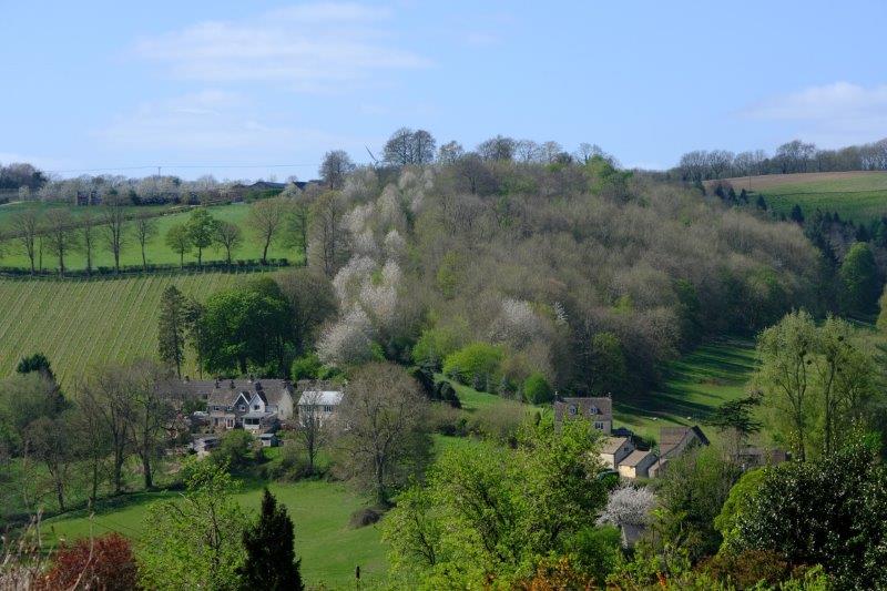 Looking back across the valley