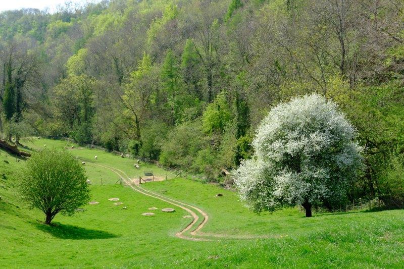 Looking back down the valley