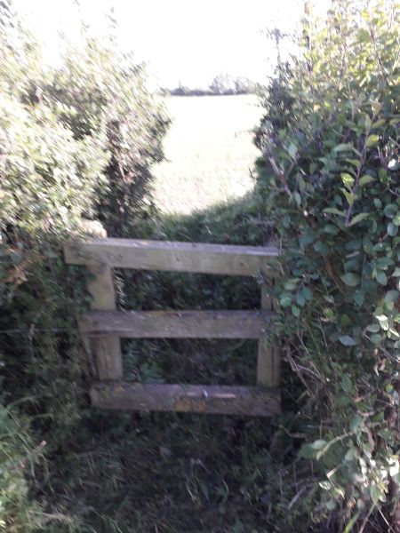 The cleared stile from both sides. 4 weeks ago this was  almost covered.