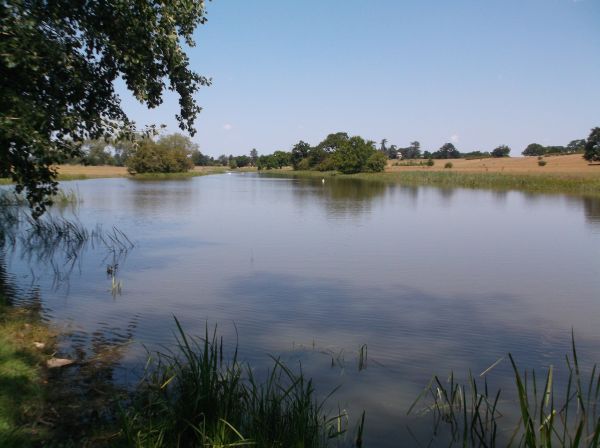 A view of Croome River (actually a serpentine lake)