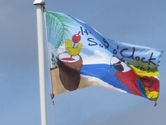 On our way across Minch common the flag says "It's 5 o'clock somewhere" and there's a beach, a cocktail and a parrot (note the parrot)