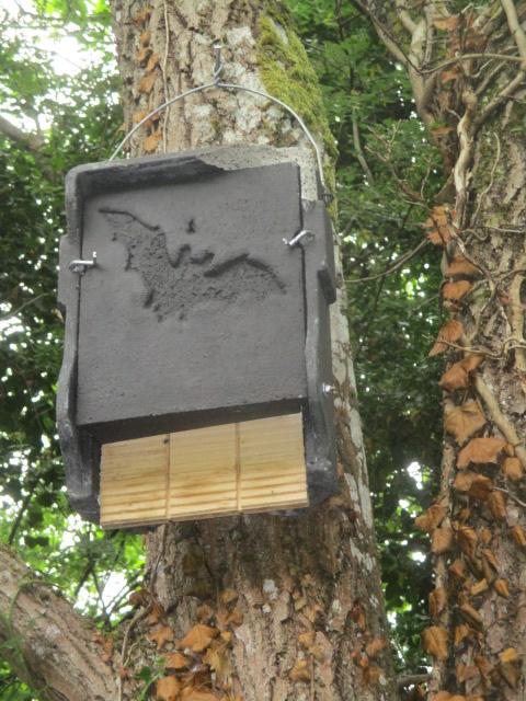 A bat box with a sign for the bats