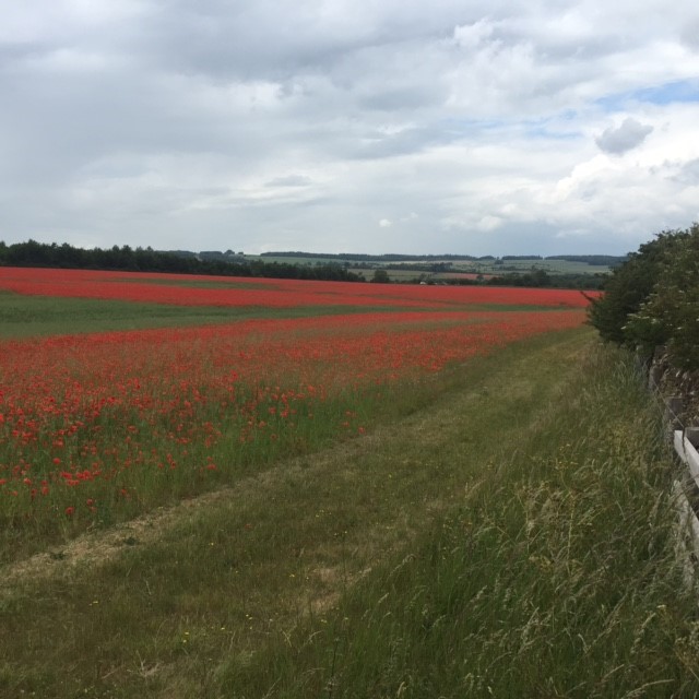 Janet passed this field on the journey back.