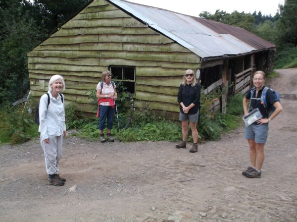 4 lovely ladies with me today - Sheelagh, Janet, Jill, Sue C