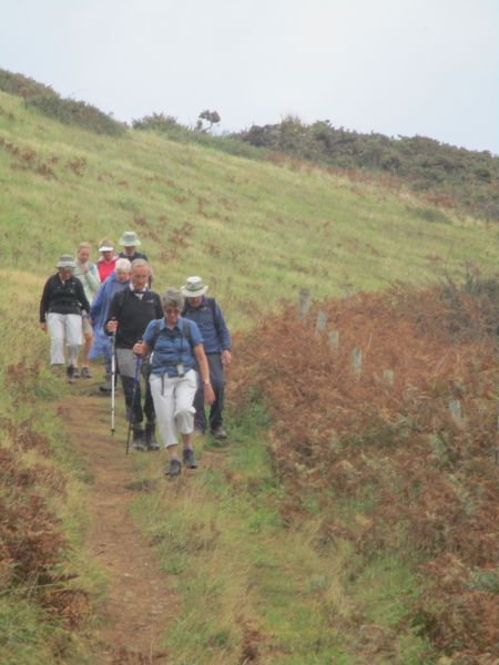 Heading west towards Polruan